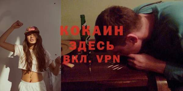 крисы Белокуриха