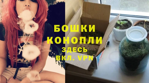 крисы Белокуриха